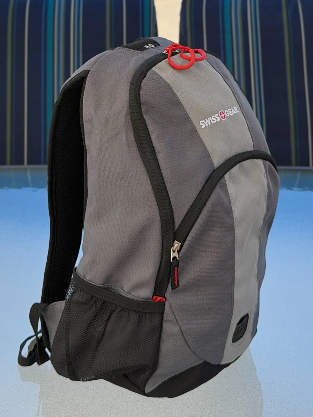 SwissGear Dash Pack Laptop Backpack CP156